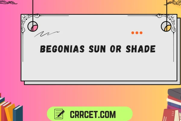 begonias sun or shade