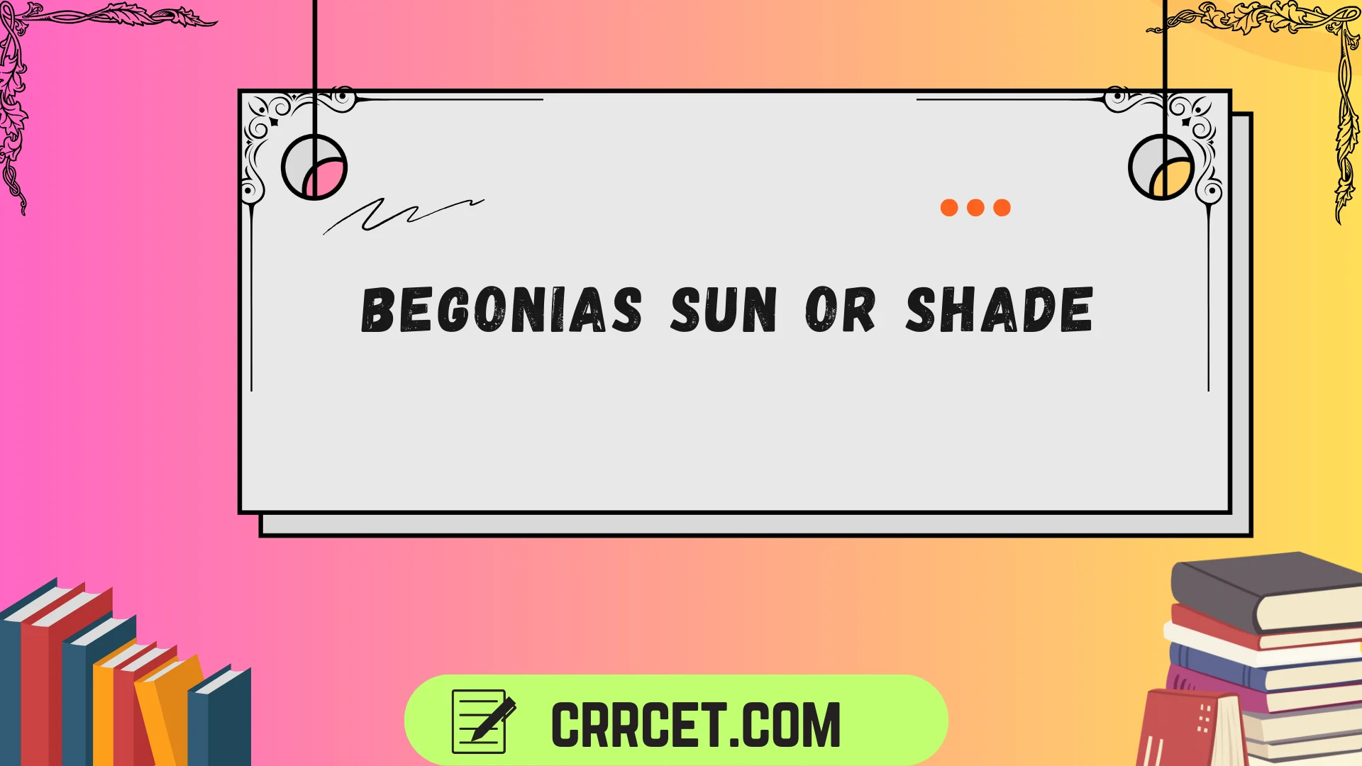 begonias sun or shade