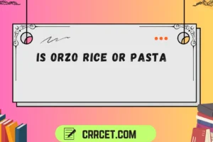 is orzo rice or pasta
